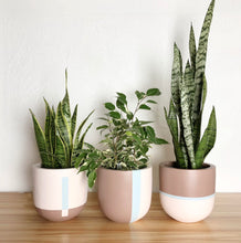 three brown and pale pink fiberstone planters on a wooden table top with tropical houseplants