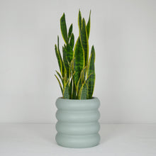 sage green bubble tiered plant pot with snake plant on a white background.
