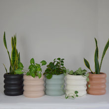 five small table top ring stacking planter pots with lush green plants on a white backdrop.