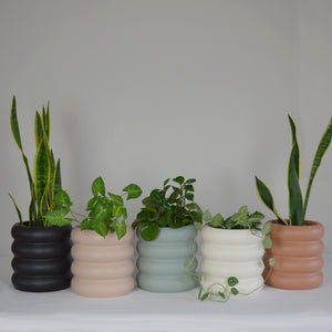 five small table top ring stacking planter pots with lush green plants on a white backdrop.