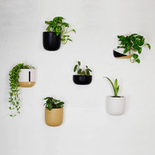 A collection of hand painted wall planters in various colors (baked clay, beige, charcoal) mounted on a white wall, with plants inside.