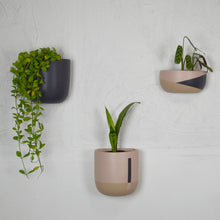 three complimentary wall planters hung on a white wall with tropical houseplants