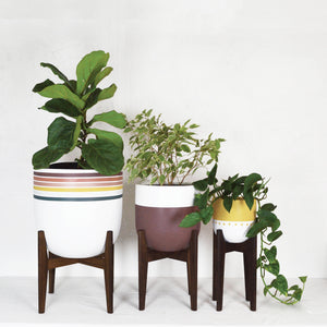 TRIO OF MID CENTURY MODERN PLANT STANDS RANGING IN SIZE FROM LARGE TO SMALL WITH UNIQUE PLANTER POTS AND HEALTHY GREENS
